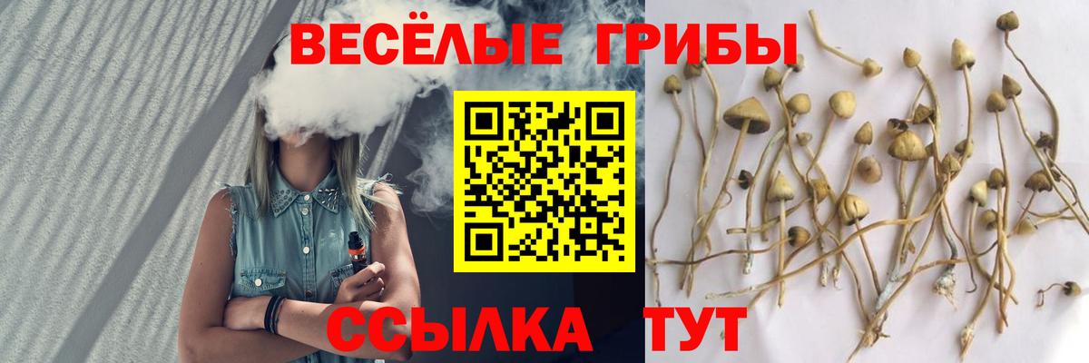 Набережные Челны  Галлюциногенные грибы Cubensis  Псилоцибиновые грибы мицелий  Вход с VPN 